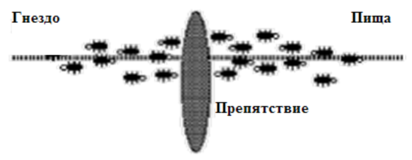 Препятствие на пути между гнездом и пищей